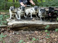 Gruppenbild Wald.jpg
