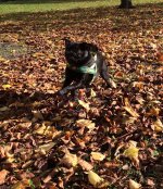 IMG_0732.jpeg