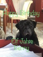 IMG_3504.jpeg