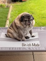 Erbse ist Müde_edited.jpg