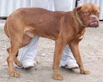 hutch BX Foto114_005.jpg