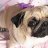 web-mops