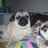 ernie&shila
