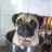 ThreePug