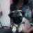 Luna Mops