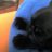 Buddy