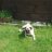 Lilly`s Rosi