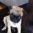 Rocco