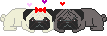 Puggies :puggies: :puggies: